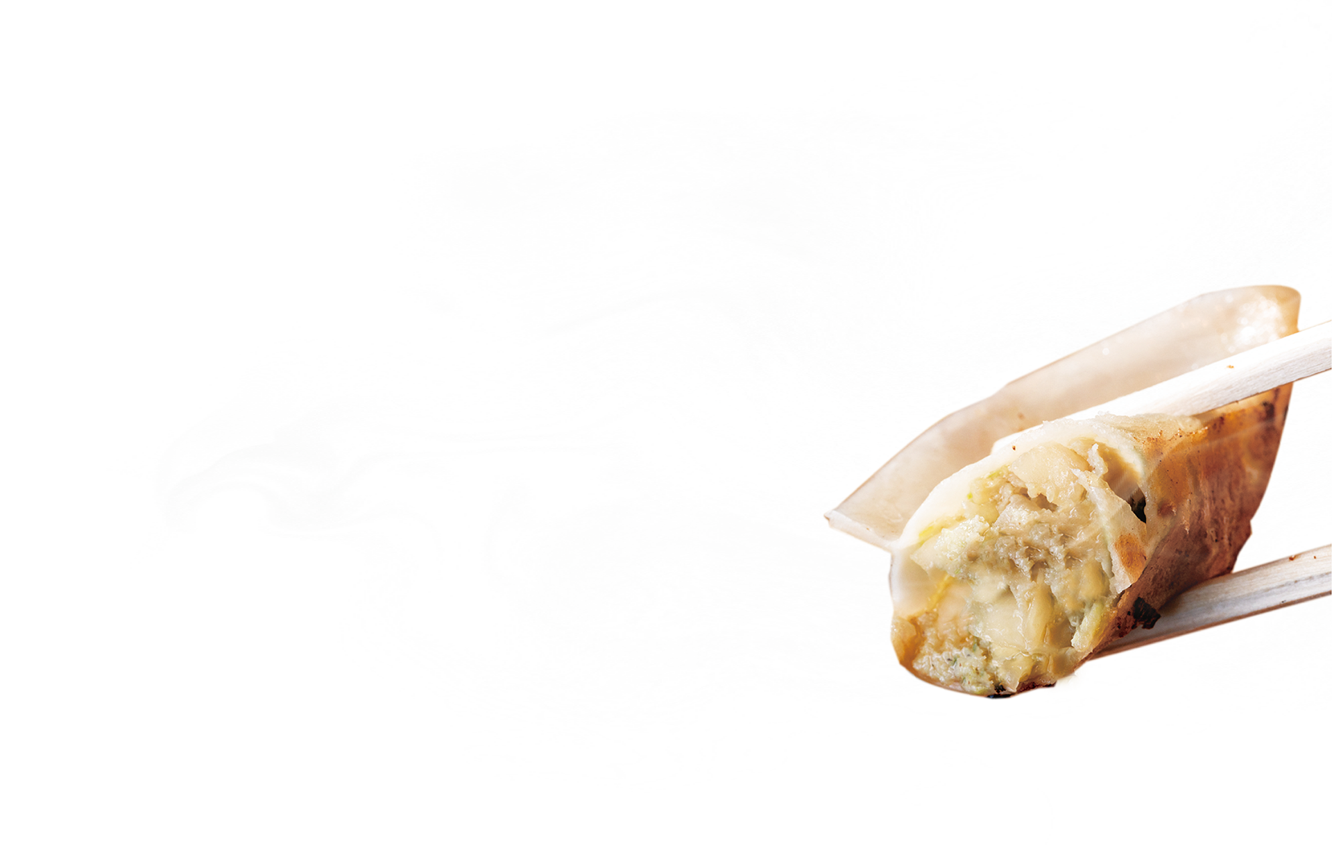 発芽にんにく餃子